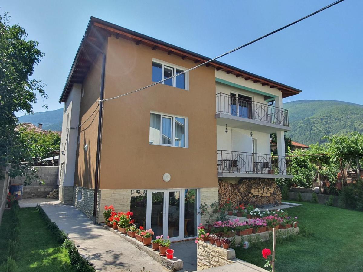 Hotel Дамяновата Къща Sapareva Banya Exterior foto